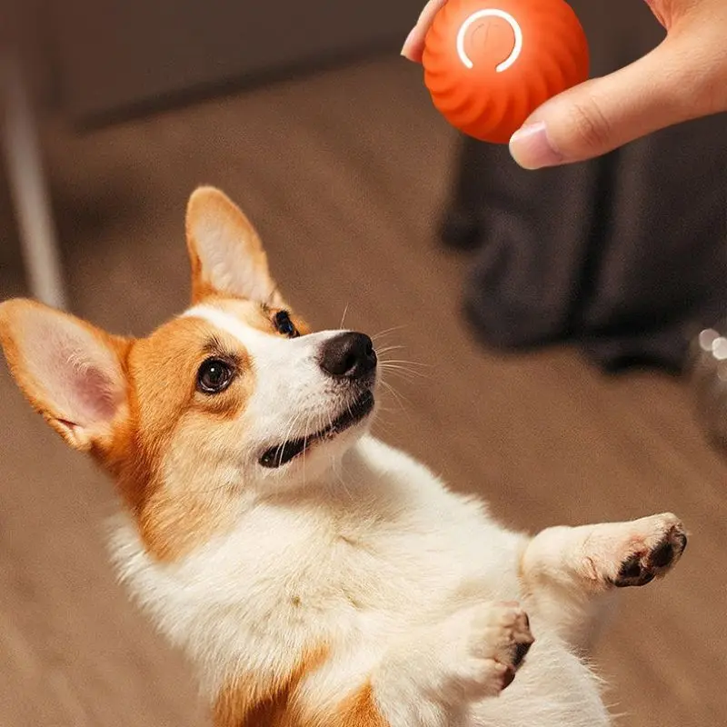 Active Rolling Ball Anti-Anxiety Automatic Moving Ball Pet Dog Toys Eliminates Boredom Eases Anxiety Suit for All Surface