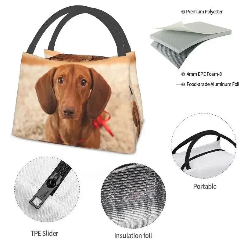 Bonito dachshund cão térmico isolado almoço saco feminino salsicha almoço recipiente para acampamento ao ar livre viagem armazenamento refeição caixa de alimentos