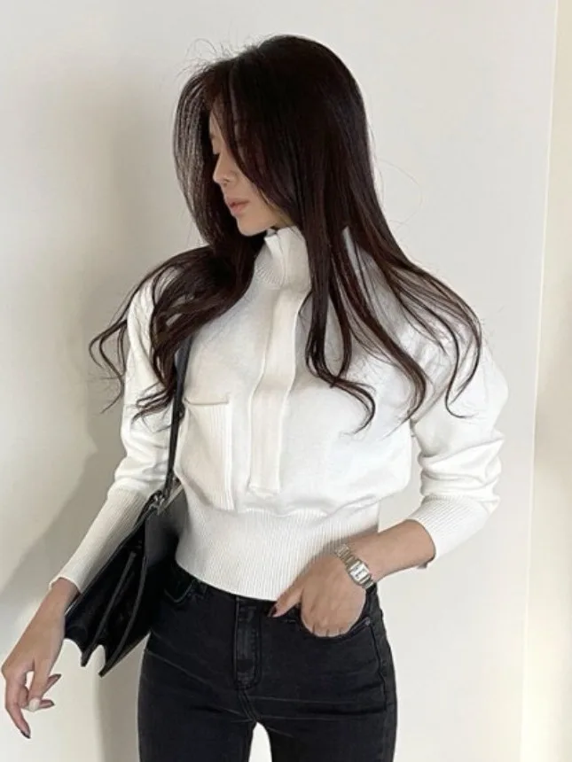 

East Gate Little Cro, осенне-зимний вязаный свитер на молнии, дизайн, большой повседневный женский свитер с высоким воротником