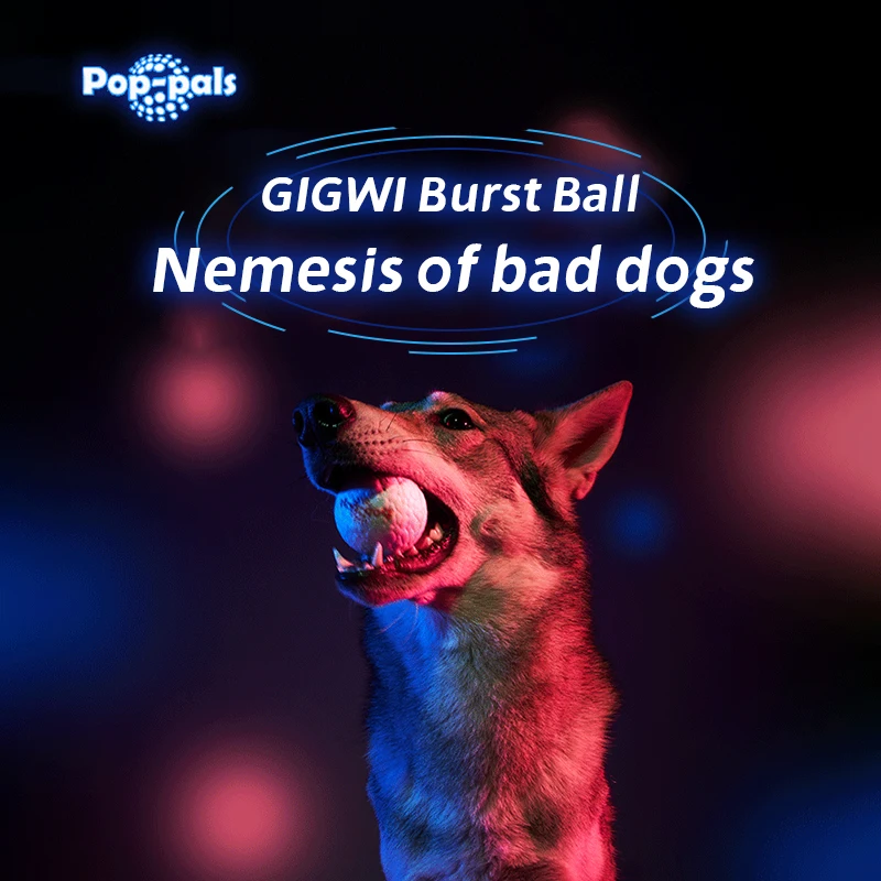 GiGwi Latest Doy Toys G-Ball Series Burst Ball Use BASF Infinergy Material Boost Technology Pet Toys Chewing for Dog Puppy