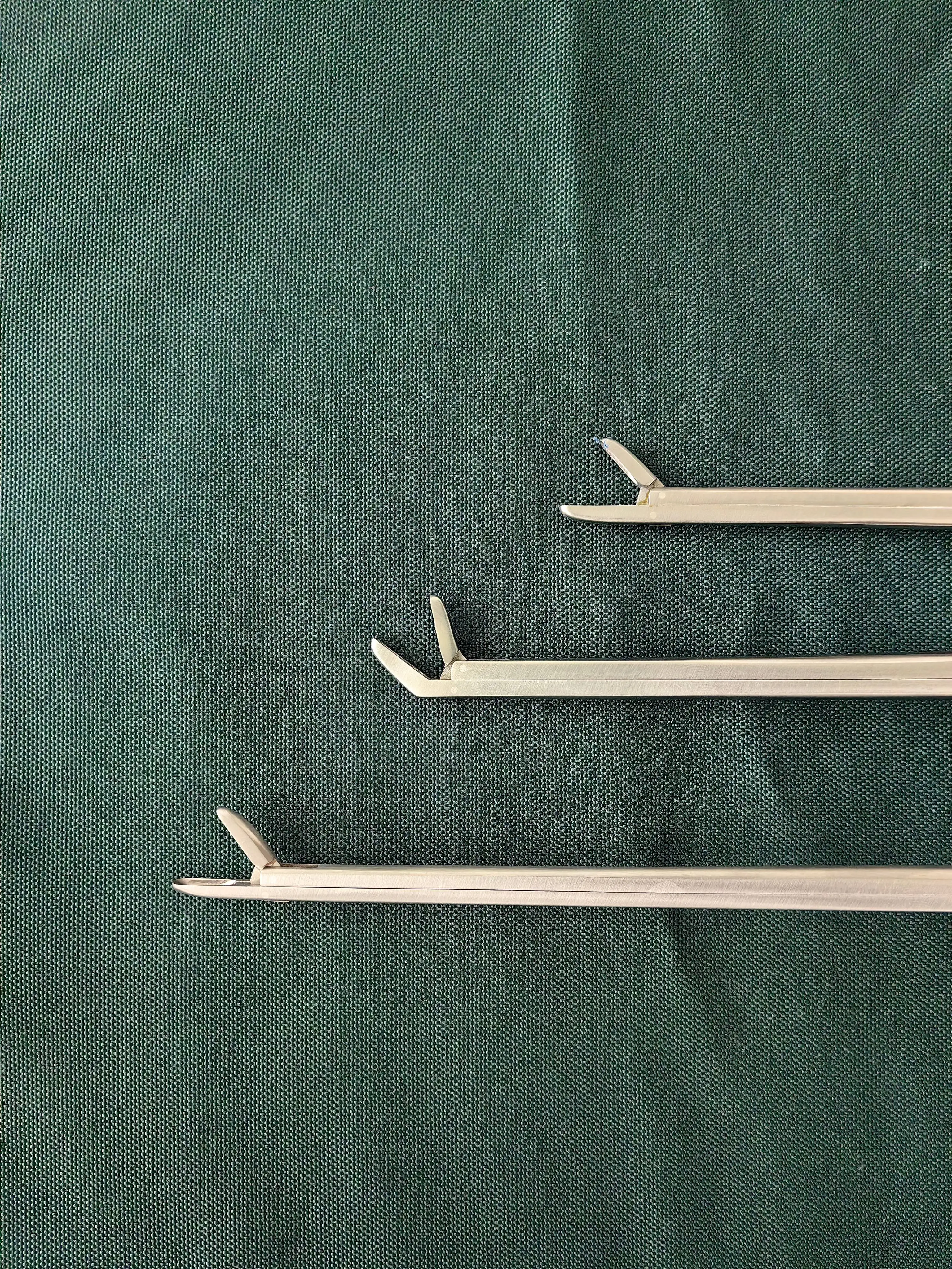 kanghong-instrumento-quirurgico-ortopedico-minimamente-invasivo-pinzas-de-nucleo-pulposo-pinzas-de-corte-para-morder-220mm-de-largo