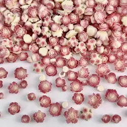 Double Colors Camellia Nail Art Decorations 3D Resin Luminous Flower Ball Rose Buds Nail Charms Accessories DIY Nails Ornaments