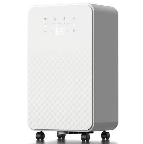 WiFi 압축기 제습기를 갖춘 10L 12L/일 미니 스마트 홈 제습기