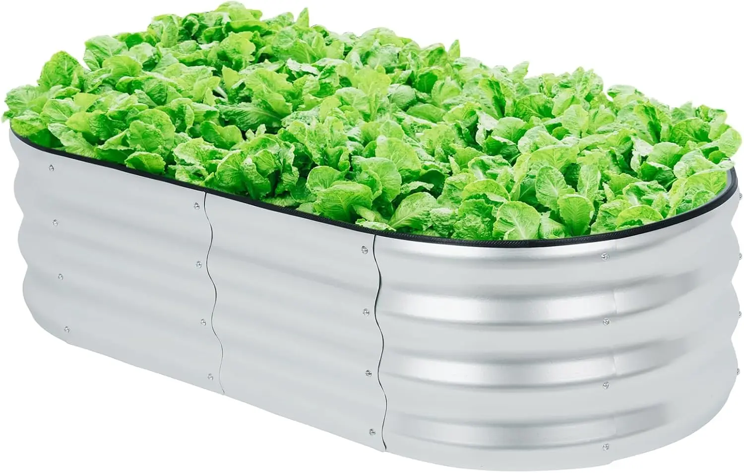 سرير حديقة مرتفع مجلفن 4 × 2 × 1 قدم، أسرة حديقة معدنية مرتفعة، صناديق زراعة خارجية، تخليص لزهور الخضروات والبستنة