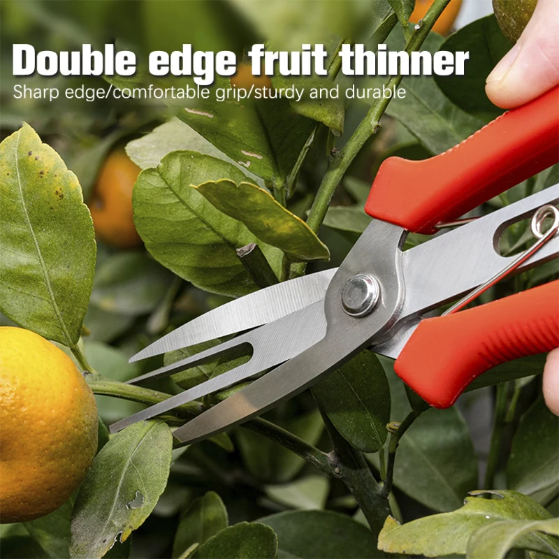 Agriculture Thinning Scissors Double-port Fruit And Flower Thinning Shears Multi-use Pruning Fruit Tree Pruning Garden Tools