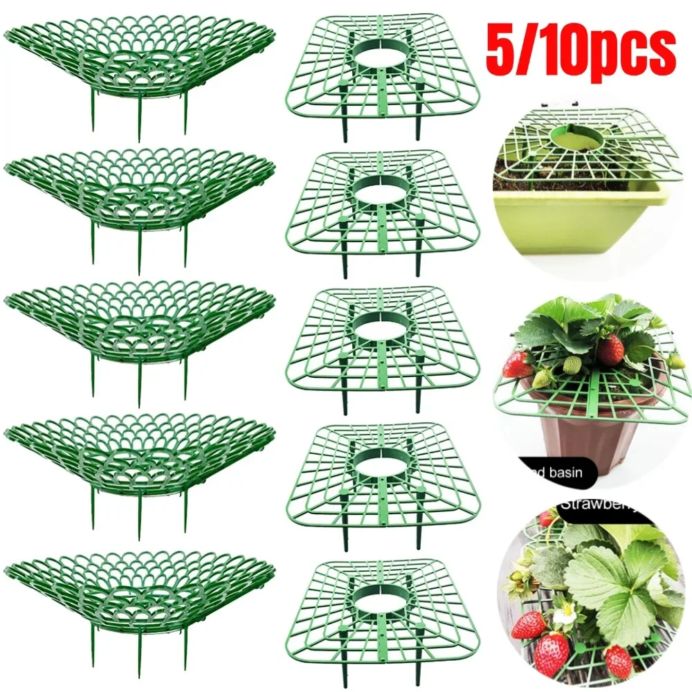 

5/10pcs Strawberry Supports Cultivation Frame Stand Rack Growing Balcony Fruit Rack Planting Plastic Stand Garden Tools