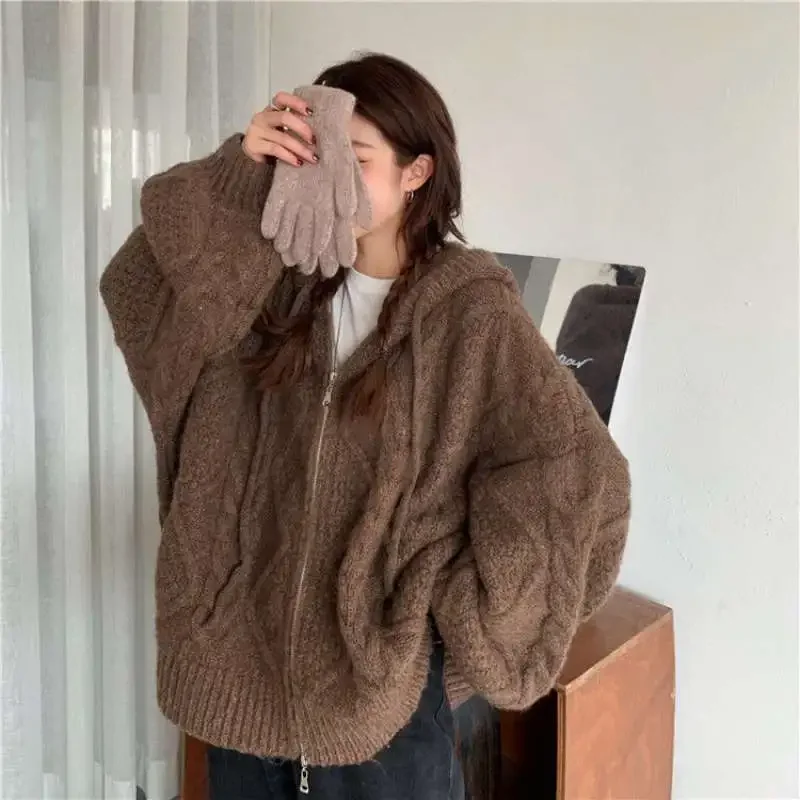 Cardigan Beauty School Sweater Spring and Autumn Loose Hooded Twist Knit Cardigan Fashion Solid Color Korean Sweater Jacket New