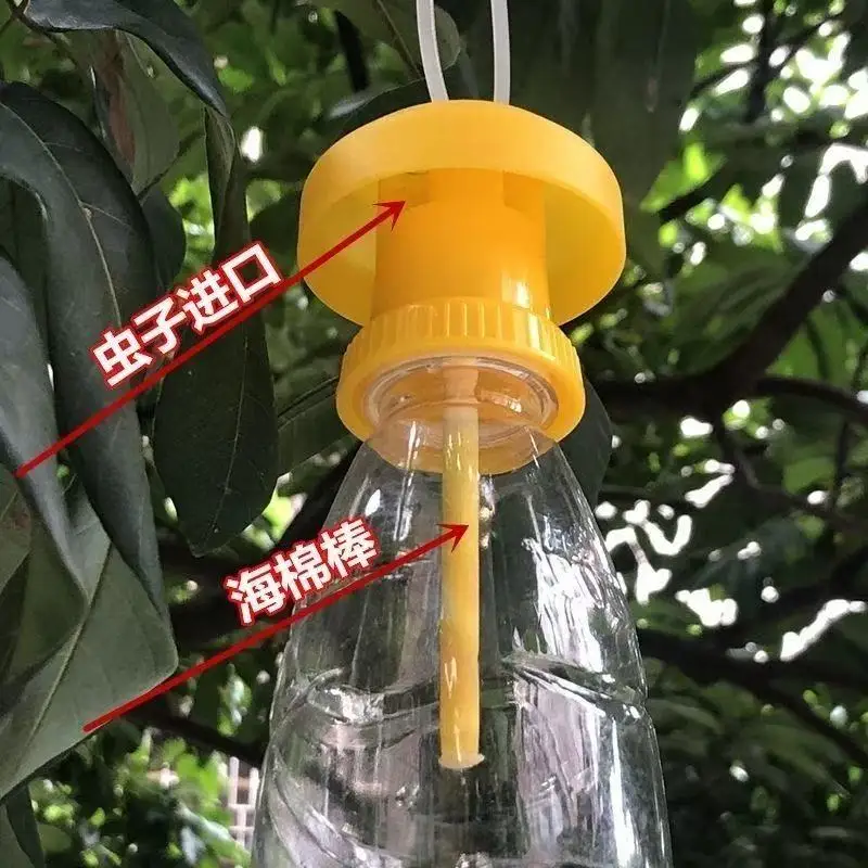 Fruit Fly Pheromone Attractant, Bactrocera & Melon Fly Liquid Lure, Wholesale for Fruit Fly Traps