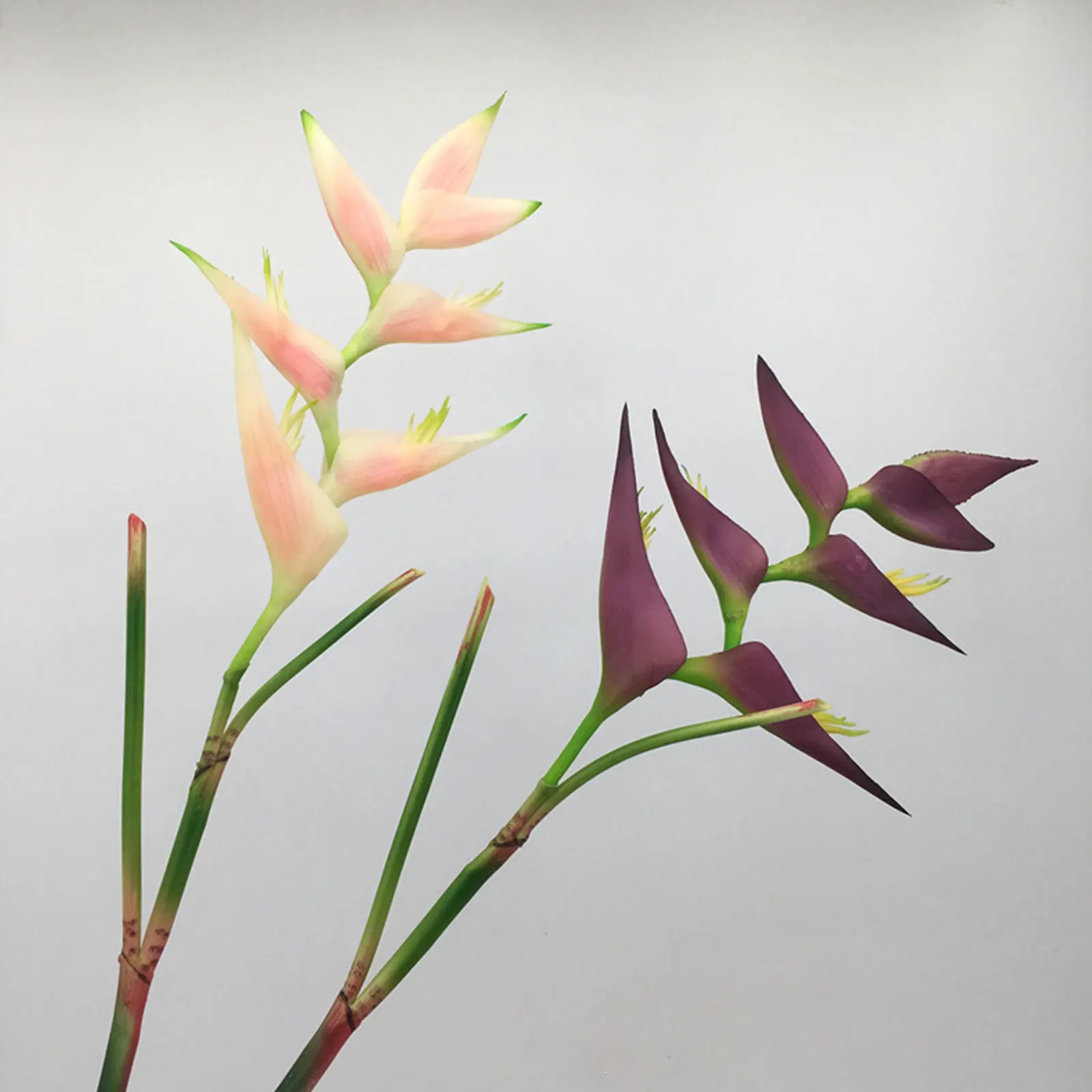 Real Touch Little Bird Of Paradise Artificial Tropical Plants Handmade Imitation Paradise Bird Flower Arrangement Crane Orchids