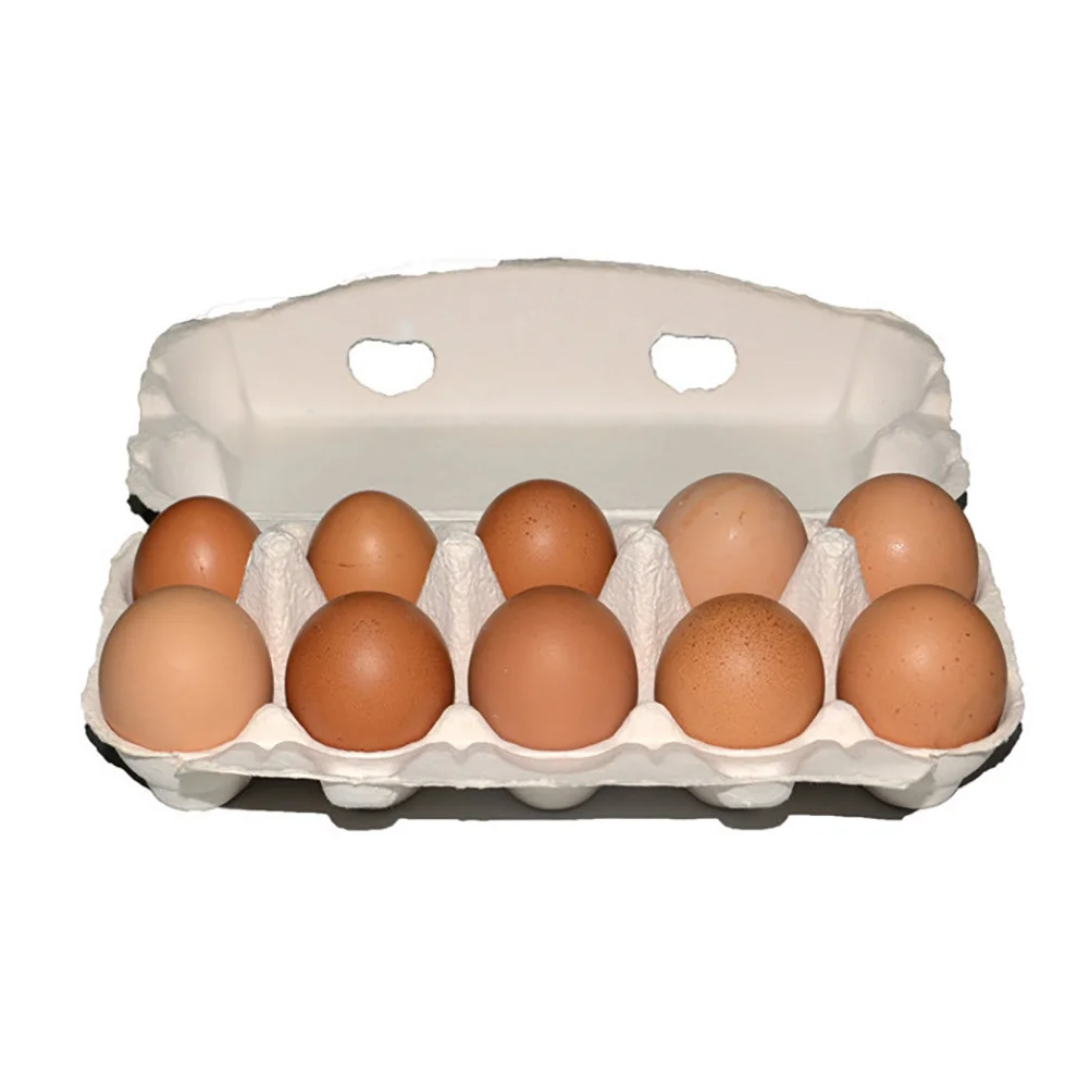 

10Pcs Eco Cartons Paper Pulp White Ten Grid Large Capacity Egg Storage Containers for Kitchen Home