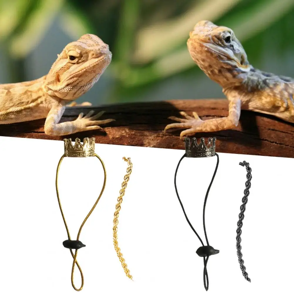 1 Set Crawling Pet Necklace  Practical Lizard Bearded Dragons Crown  Novel Lizard Ornament Set