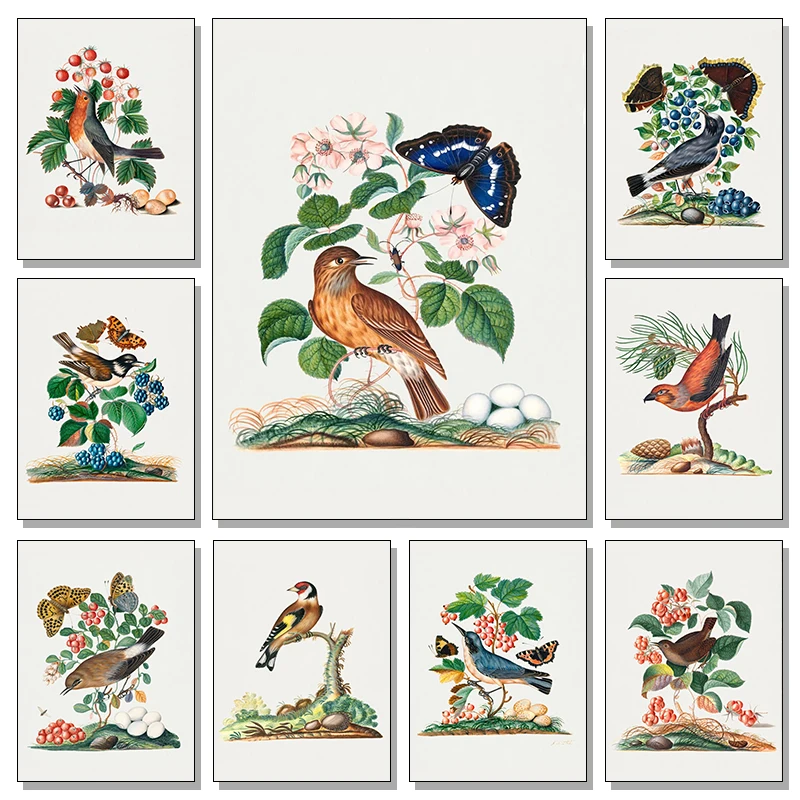 Vintage Colorful Style Birds Poster Eurasian Goldfinch Northern Green Birds Canvas Painting Animal Wall Art Picture Home Deco