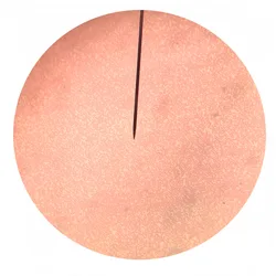 50 sztuk człowieka przygotowane krwi rozmaz mikroskopu szklane slajdy przygotowane biologiczne slajdy pokrywa zrazy w drewnianym pudełku