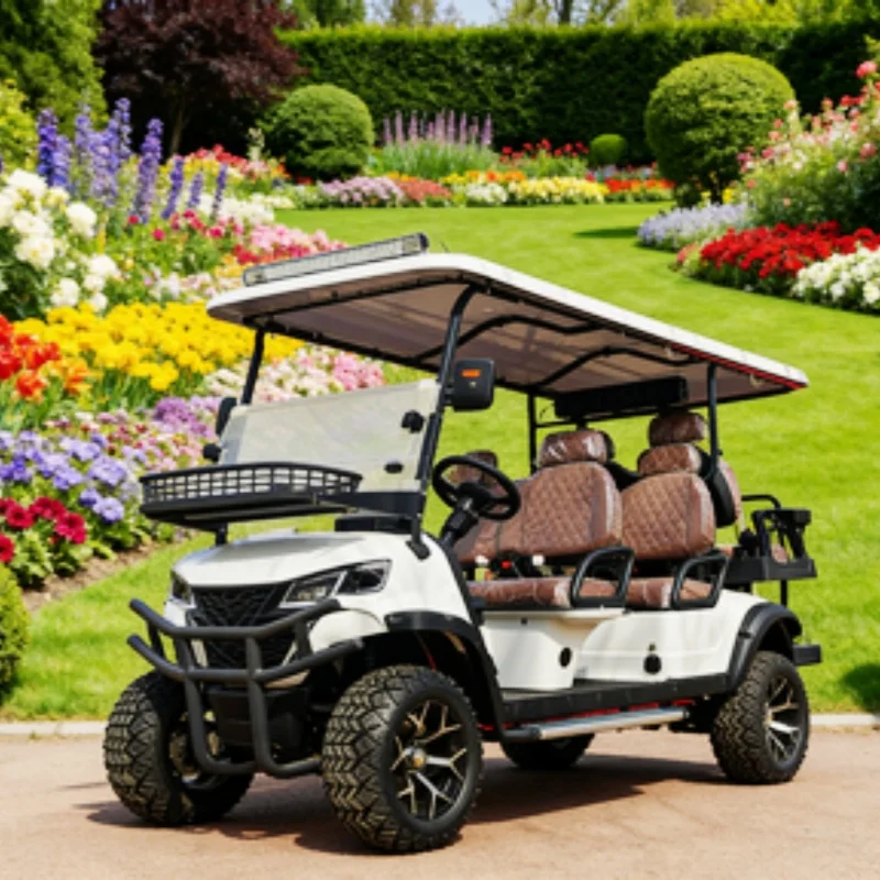 2 4 6 8 Passenger Capacity Seats Metal Steel Plastic Go Kart Adult Hunting Club Car Electric Golf Cart Passenger And Cargo