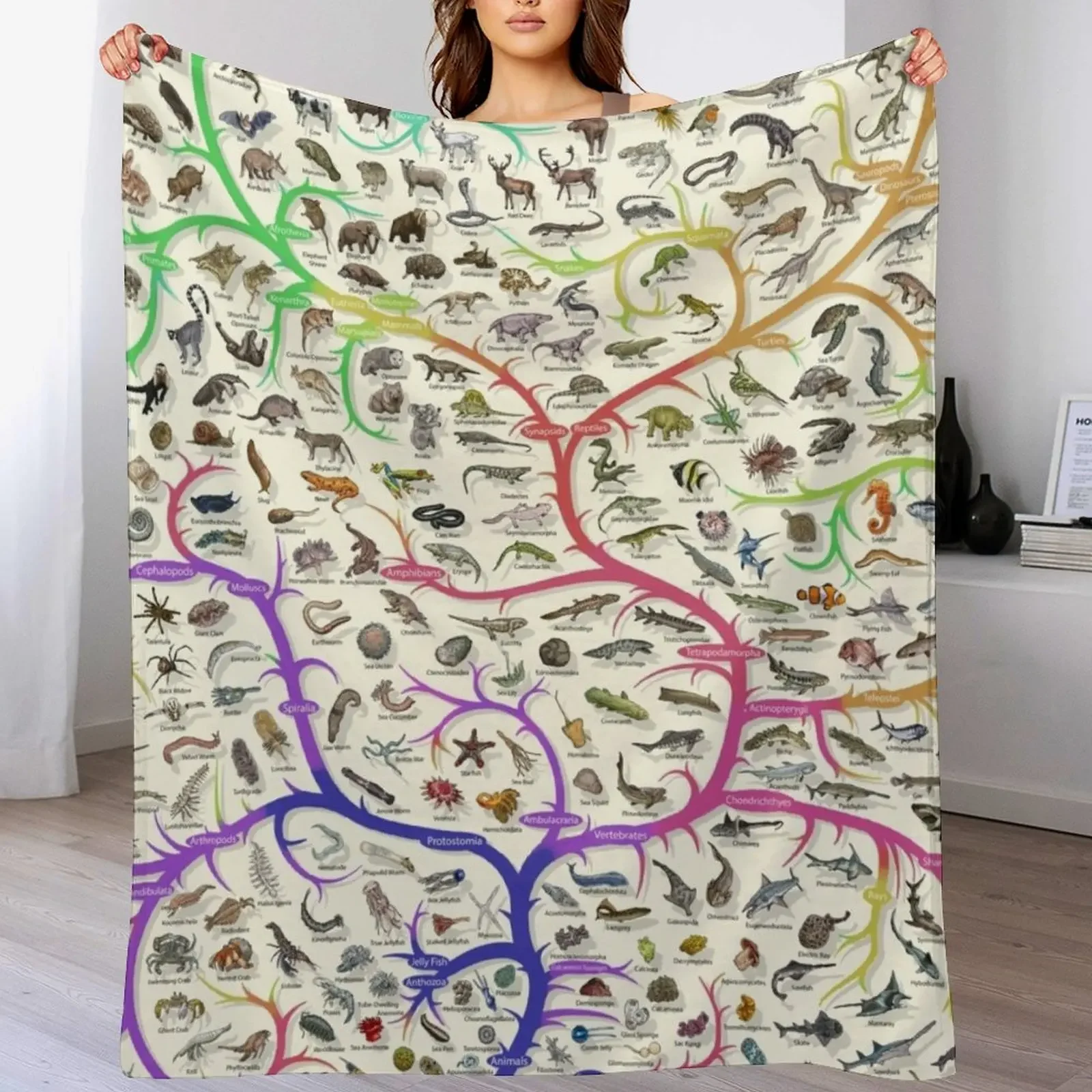 Animal Tree of Life Poster - Evolution - Colour (English Annotations) Throw Blanket Stylish Warm Blanket for Living Room Bedroom
