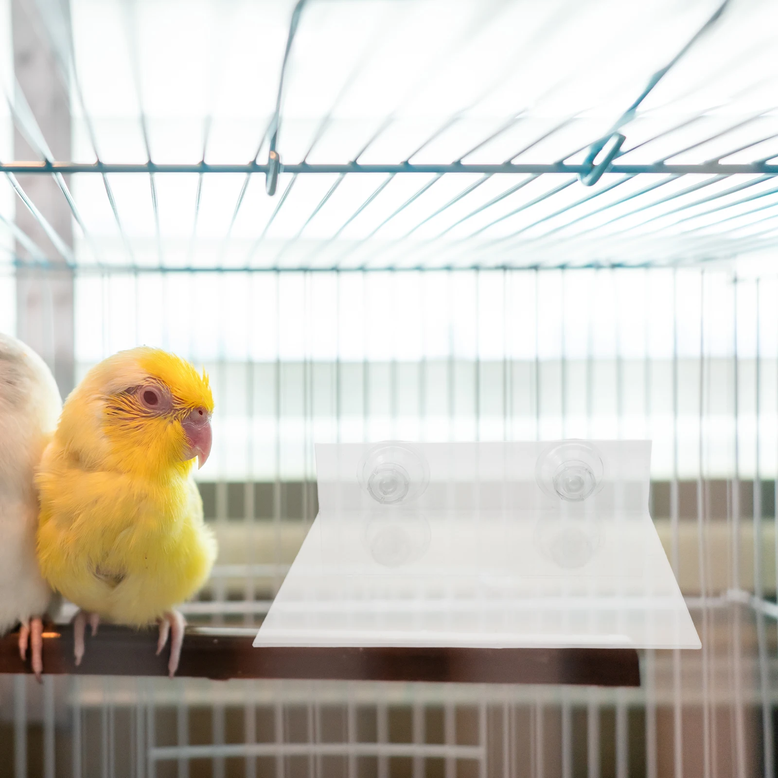 

Parrot Stand Rack Hanging Hook Adjustable Bird Perch Stand Training Platform Cage Accessories for Parrots Indoor Outdoor Use