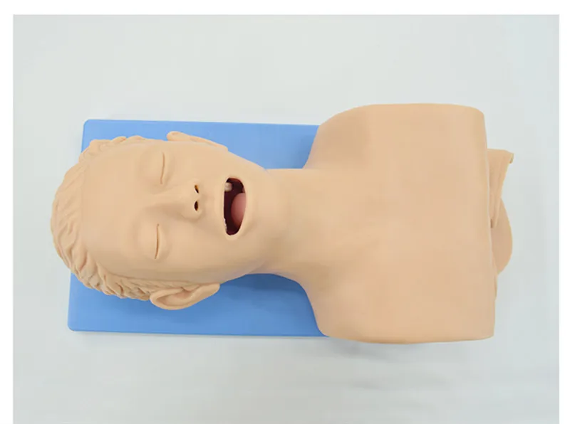 Adult Intubation Manikin Study Teaching Model | Airway Management PVC Trainer with Teeth | First Aid Training Model