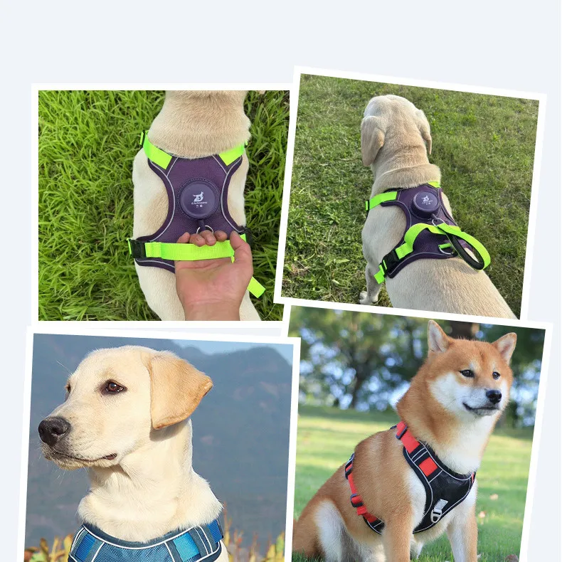Bequemes Gehgeschirr für Hunde und Katzen mit ausziehbarer Blei, reflektierendem Nachtband, automatische Verriegelung und Schlepperkontrolle – Detail 1