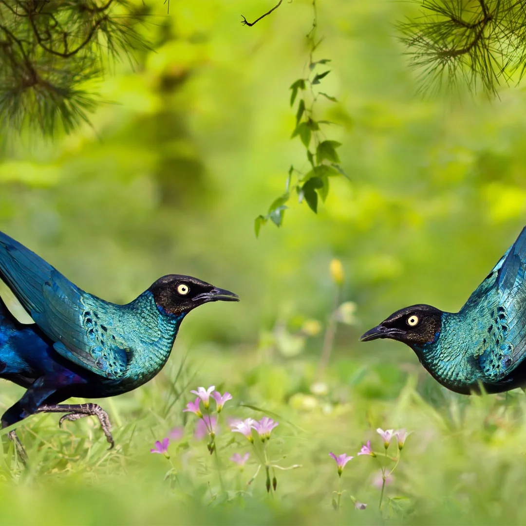 

14.4 Inch Vertical 2K Screen For GMC Yukon / Chevroler Tahoe Suburban2014-2020 Car Android 13 Radio Head unit Multimedia Carplay