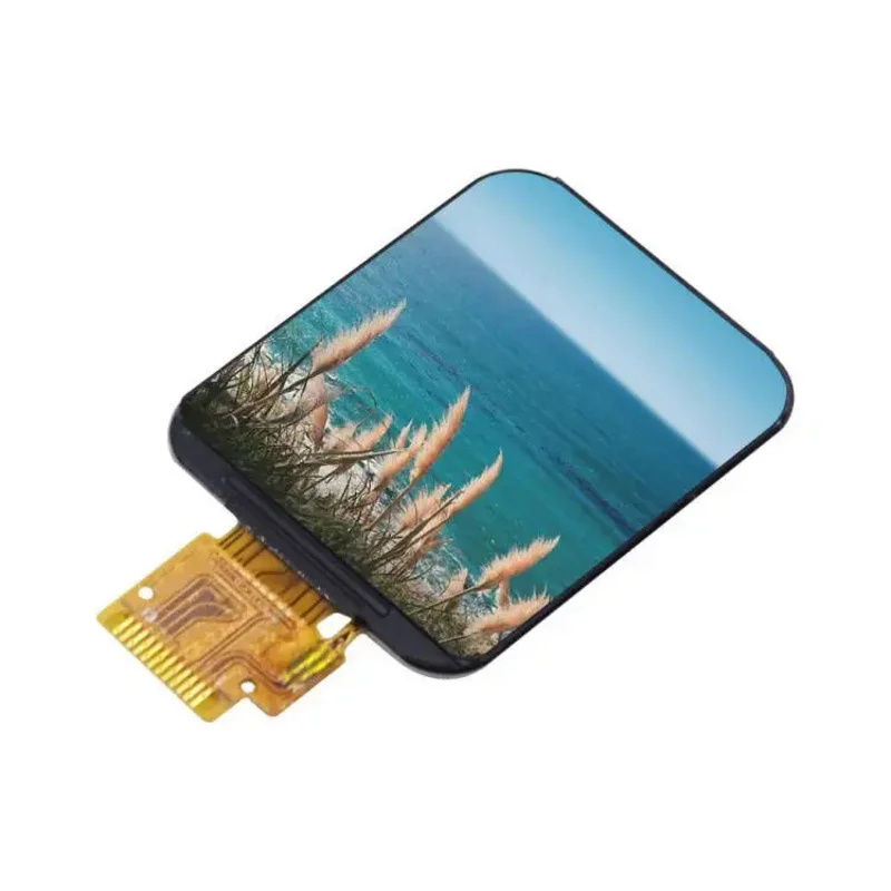 1.69 TFT LCD IPS Color Display Screen Module 1.69\