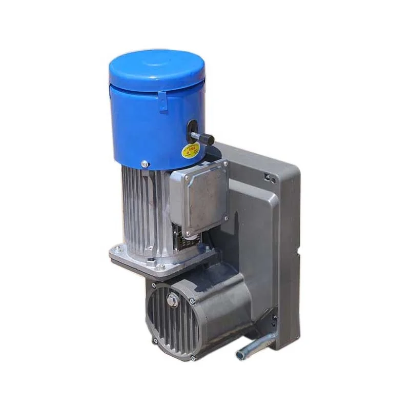Working platform lift mechanism suspended gear reducer motor ZLP630 ZLP800 ZLP1000