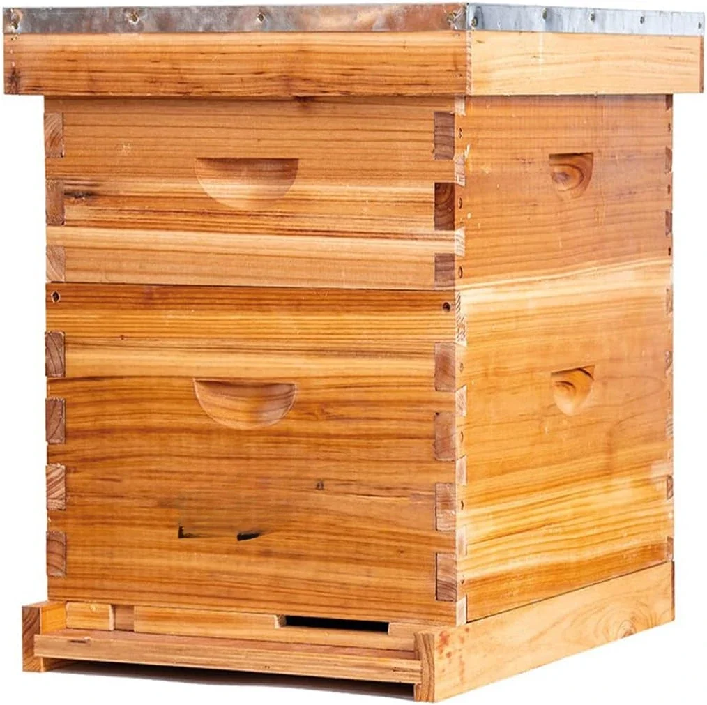 10 Frame Bee Hives and Supplies Starter Kit, Bee Hive for Beginner，1 Super with Beehive Frames and Foundation