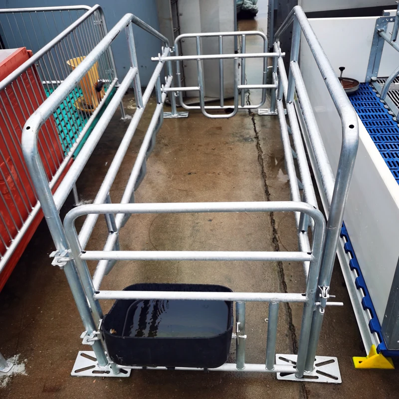 Single Body Floor Standing Sow Farrowing Gestation Crate Stall Factory Price