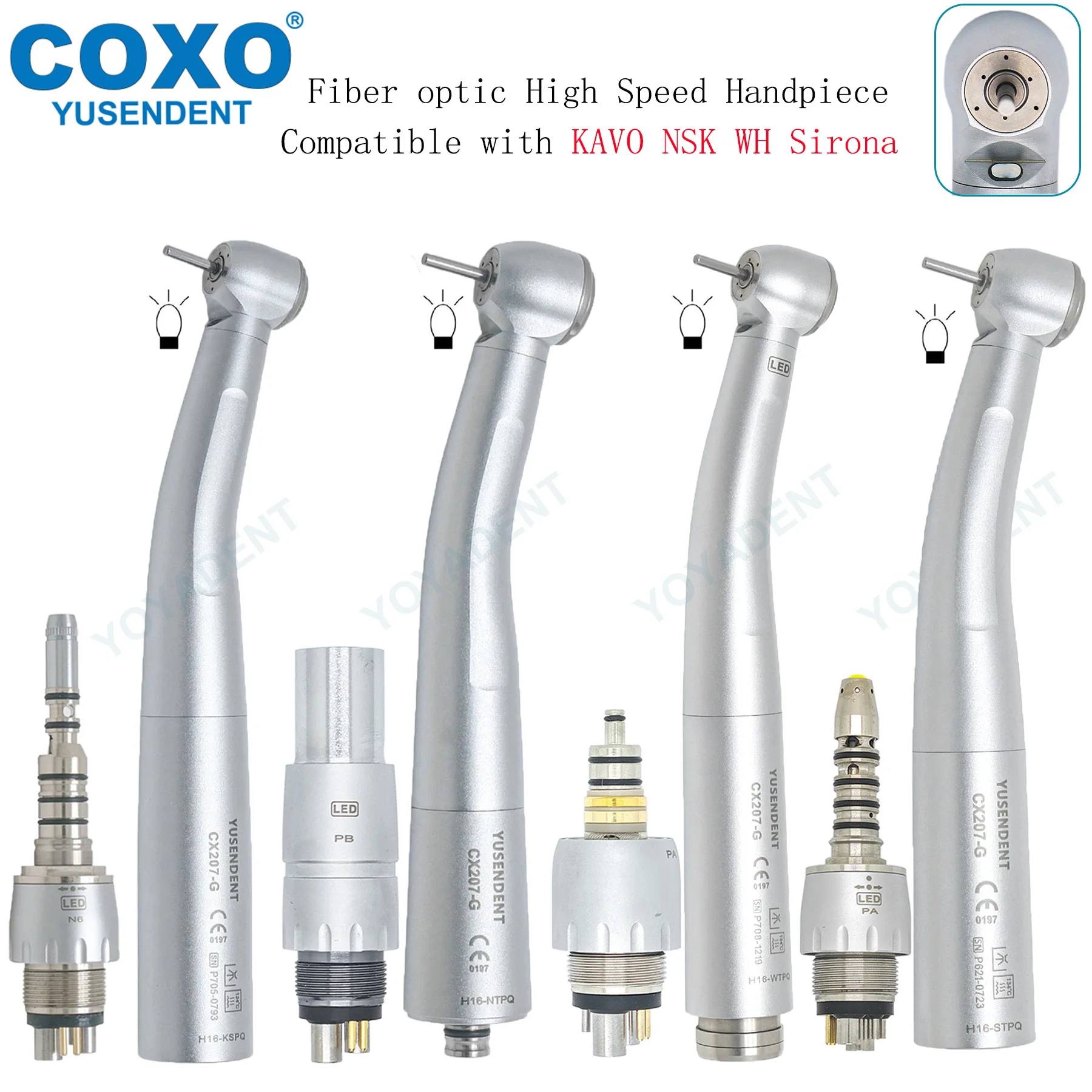 Coxo Yusendent High…