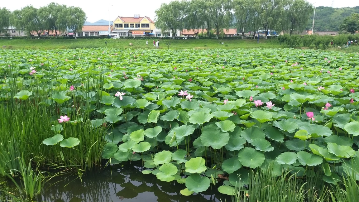 

4 шт. шина 17 мм, шестигранное колесо для ARRMA1/7 Firebird FELONY FSR Flying God Mustang GT Flat Running Da DA GT Tire Racing Highway