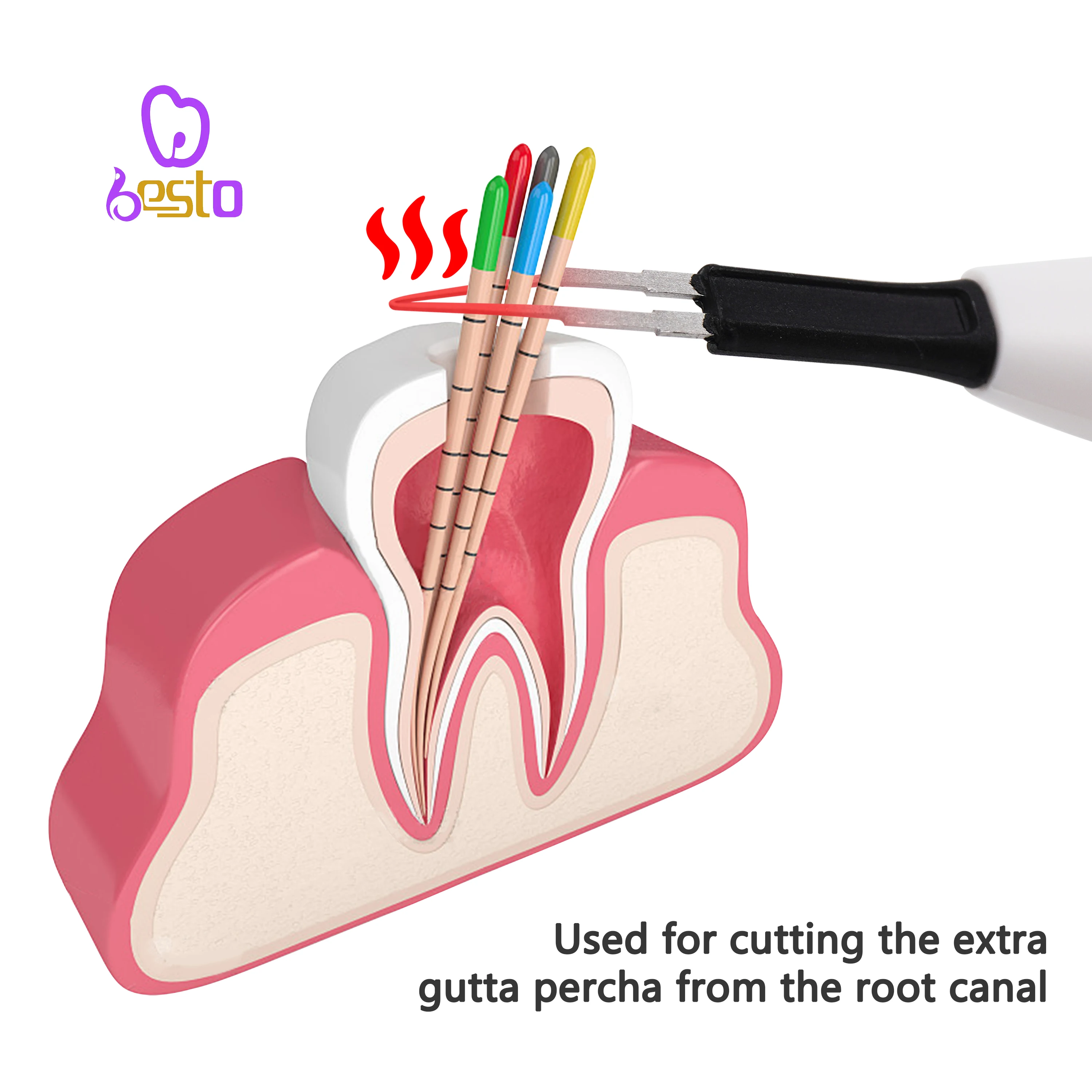 Wysokiej jakości 4-końcówka den tal Gutta Percha Tooth Gum Cutter Endo Gutta Cutter