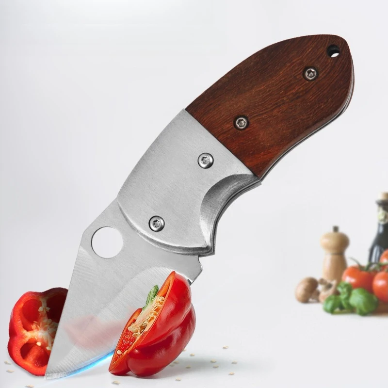 

Mini Pocket Knife Stainless Steel Foldable Portable Fruit Slicing Knife Sharp Blade Utility Folding Knife Easy to Carry