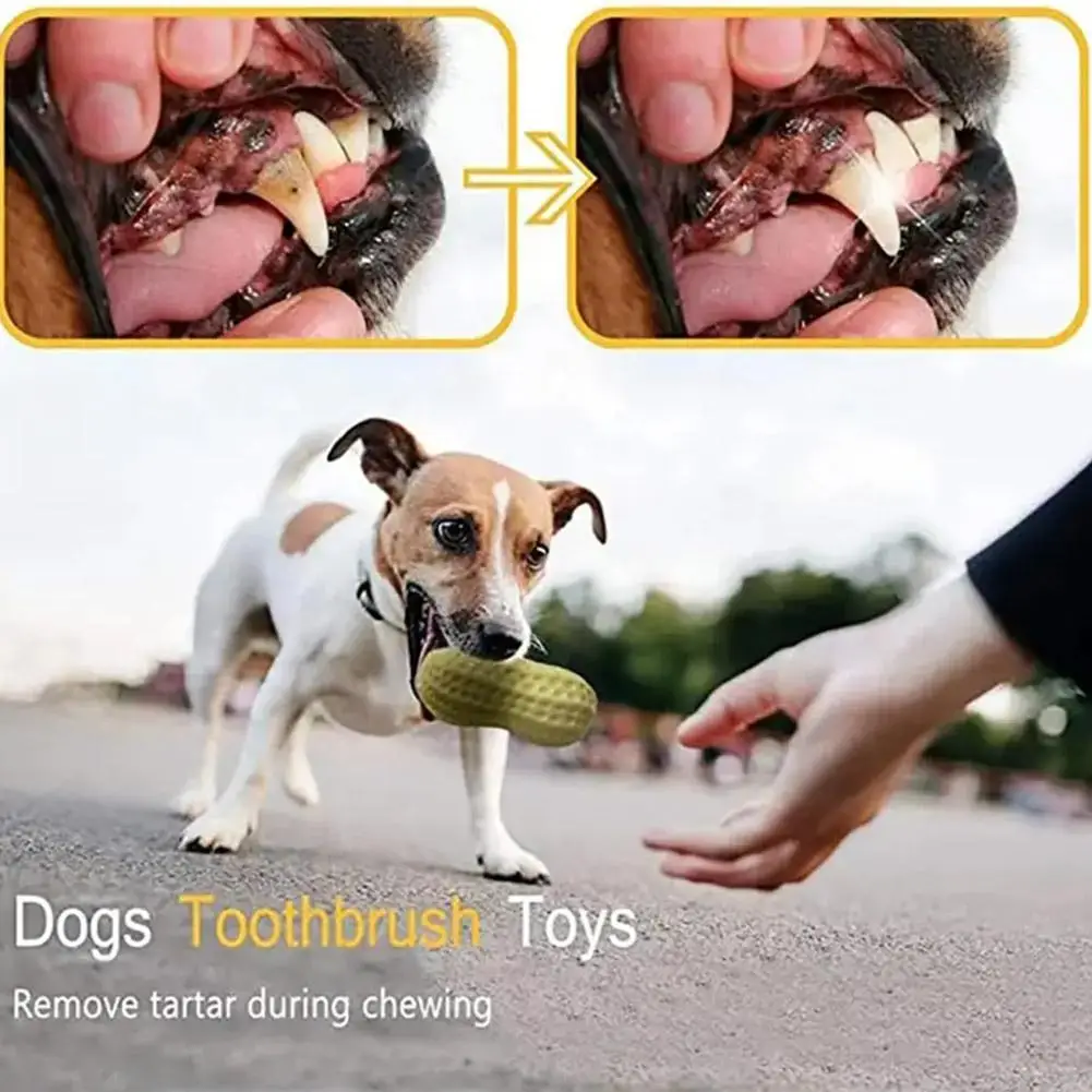 Screaming Rubber Peanut Pet Peanut Tooth Grinding Chew Toy Puppy Toy For Large Dogs Sound Voice Dog Toys ,Bite Resistant To C8F9