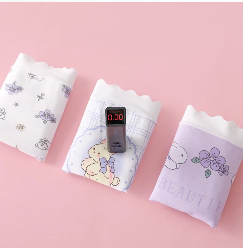 Girls Cotton Soft Antibacterial Panties Kids Cute Cartoon Print Briefs Skin Friendly Breathable Knickers Daily Underwear