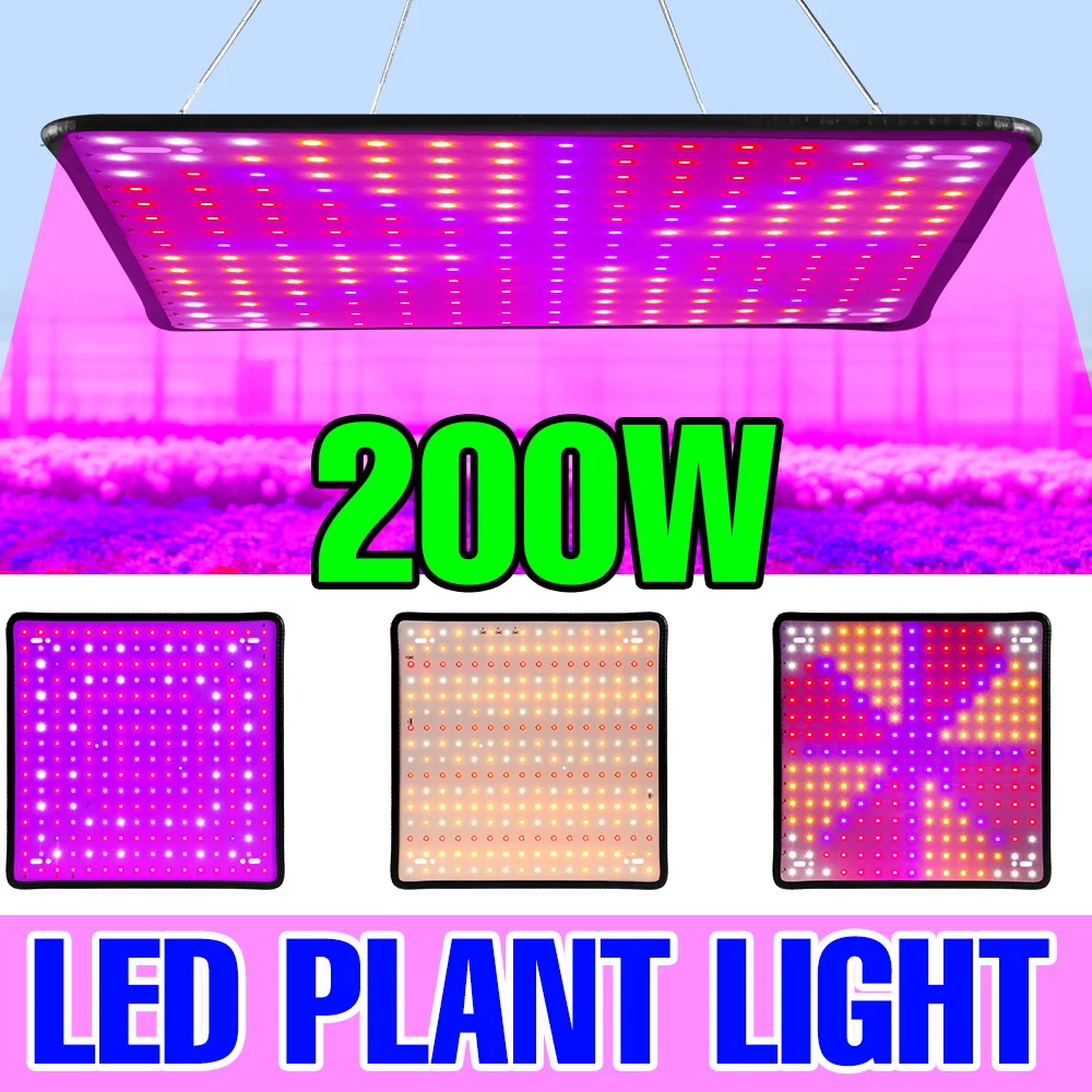 200W LED Quantum Board Grow Light Full Spectrum Plant Lamp Greenhouse Tent Vegetable Interior Potted Flower Cultivation Lighting