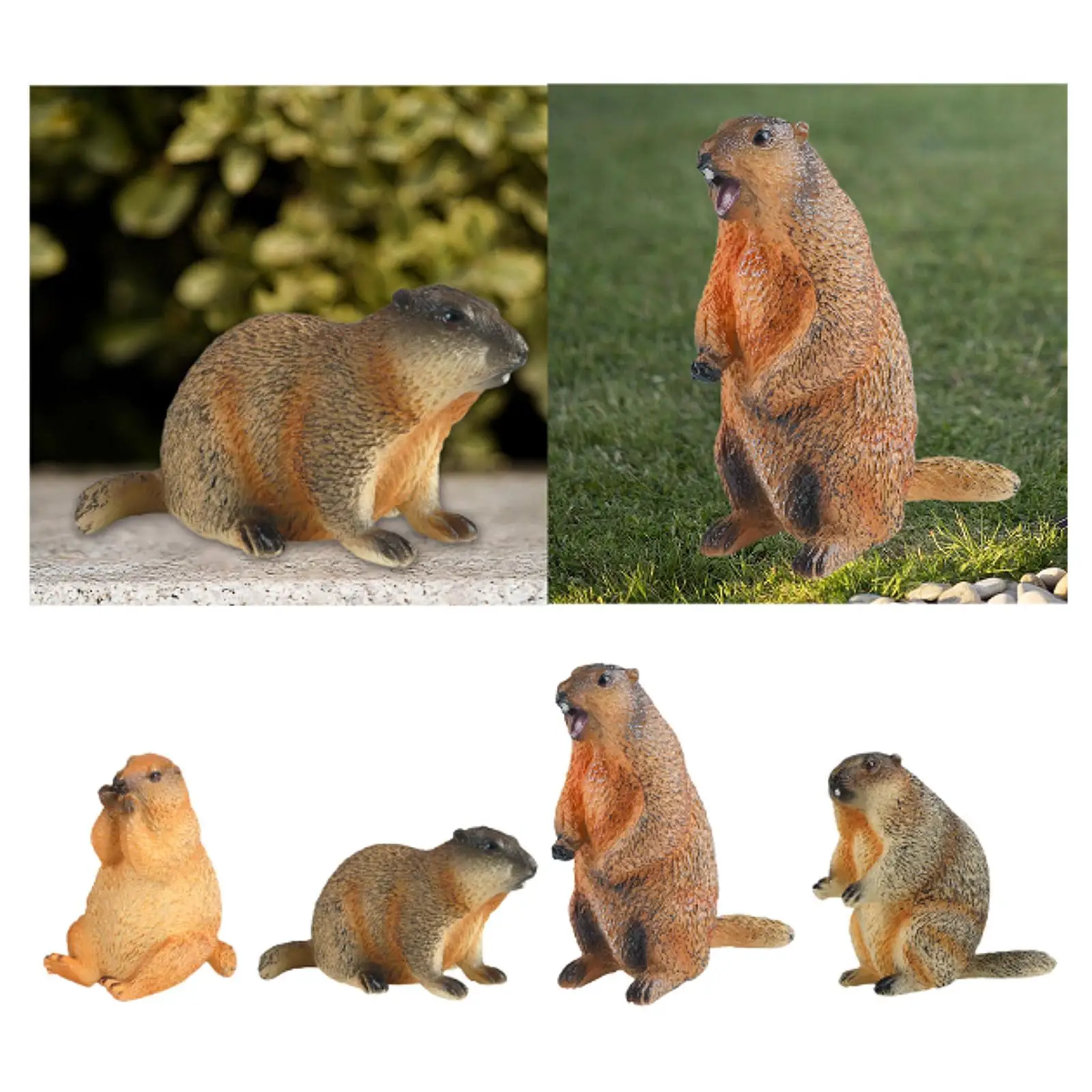 Groundhogs Model Figure Art Decor Educational for Gifts Party Favors Kids