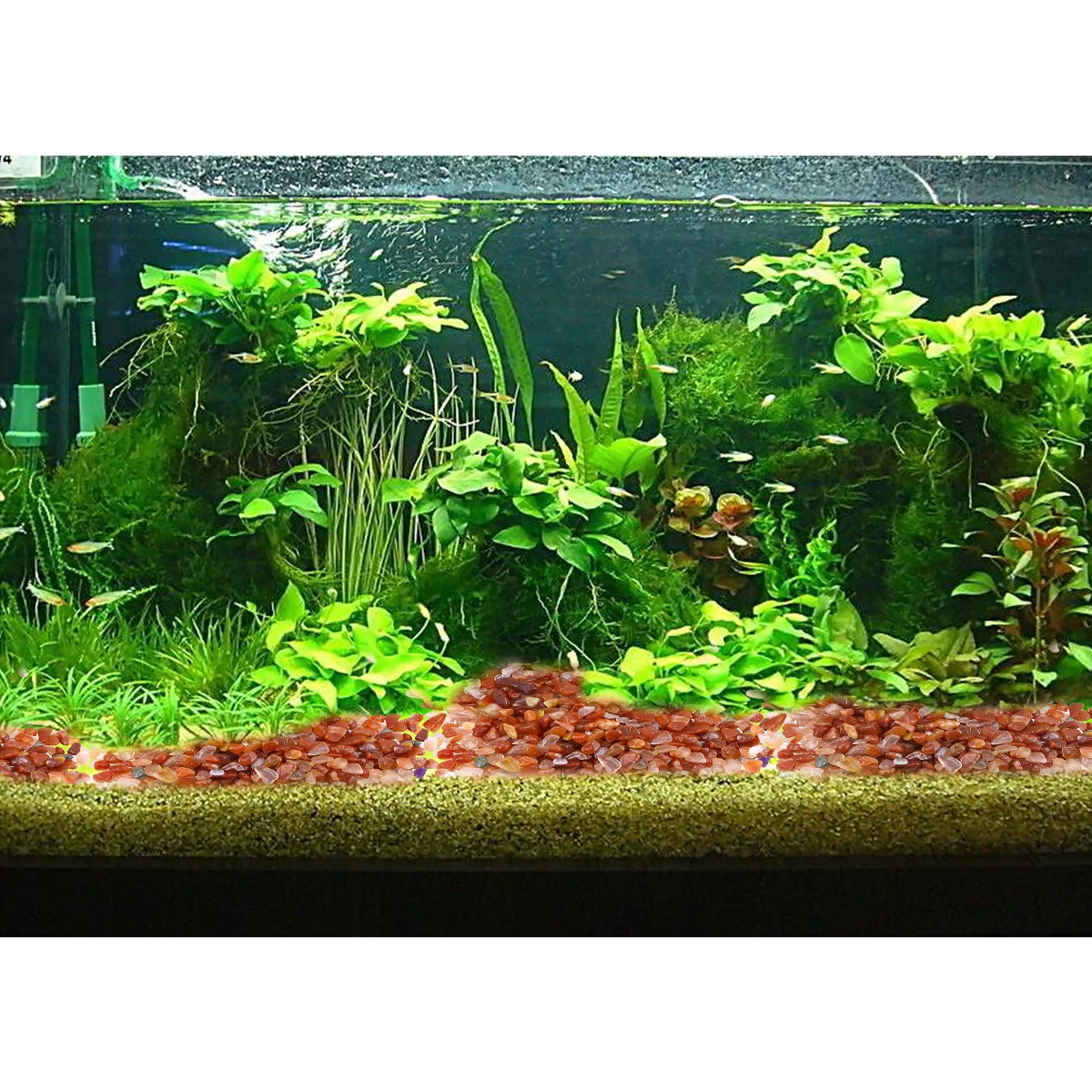 

100g Natural Polished Red Agate Gravel Assorted Colors Fish Tank Decoration Walkways Flower Pots Aquarium Stones