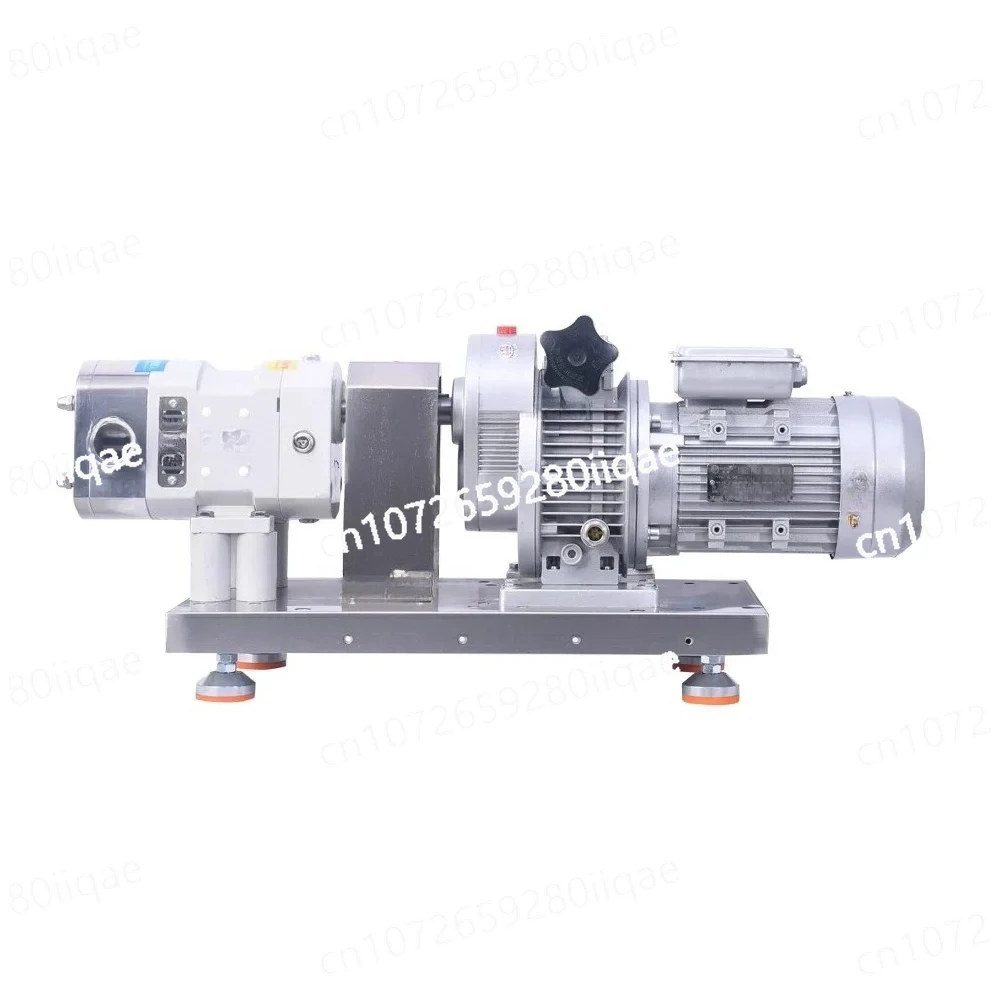 

Electric Chocolate Honey Transfer Pump Sanitary Rotary Gear with Lobe Impeller Food Grade Filling Machine