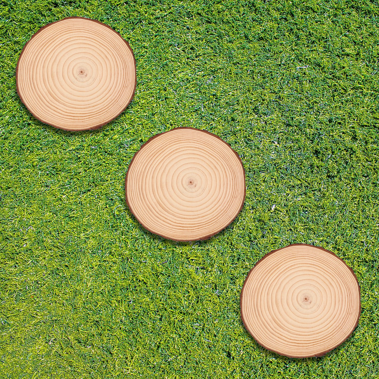 

3pcs Stepping Stones 18-20cm Diameter 2cm Thick Rustic Wood Outdoor Garden Stepping Stone Walkway DIY Path Cement Stones