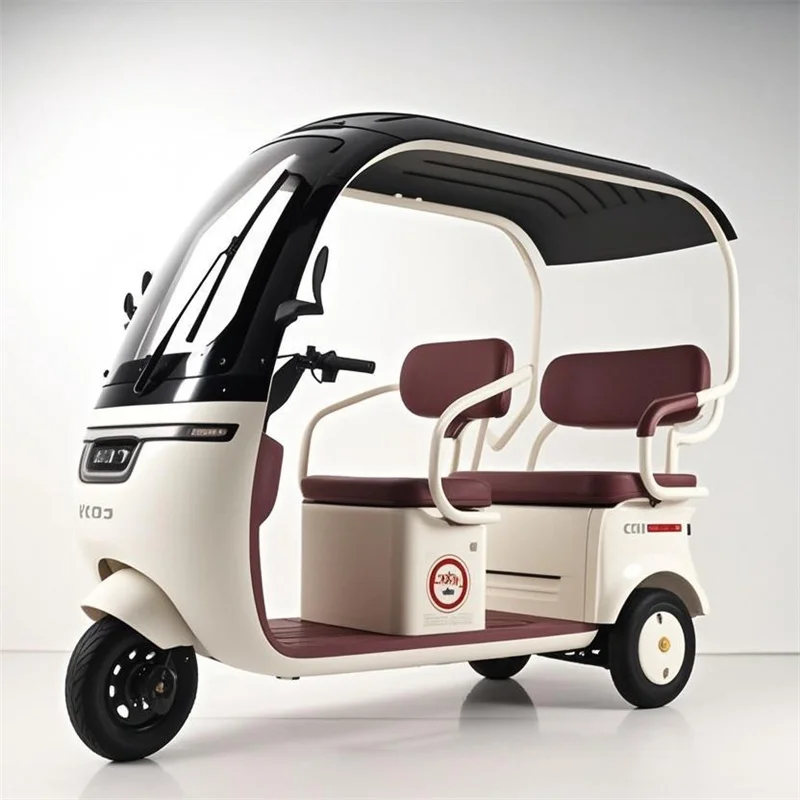 دراجة ثلاثية العجلات كهربائية 800 وات 60 فولت مع سقف دراجة كهربائية متعددة الاستخدامات للتنقل والترفيه