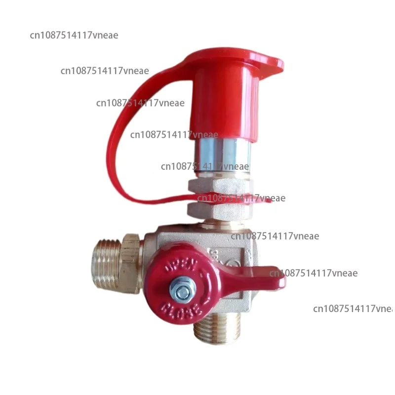 Auto Spare Parts NGV1 Filling Valve Car Cylinder for Complete Kits