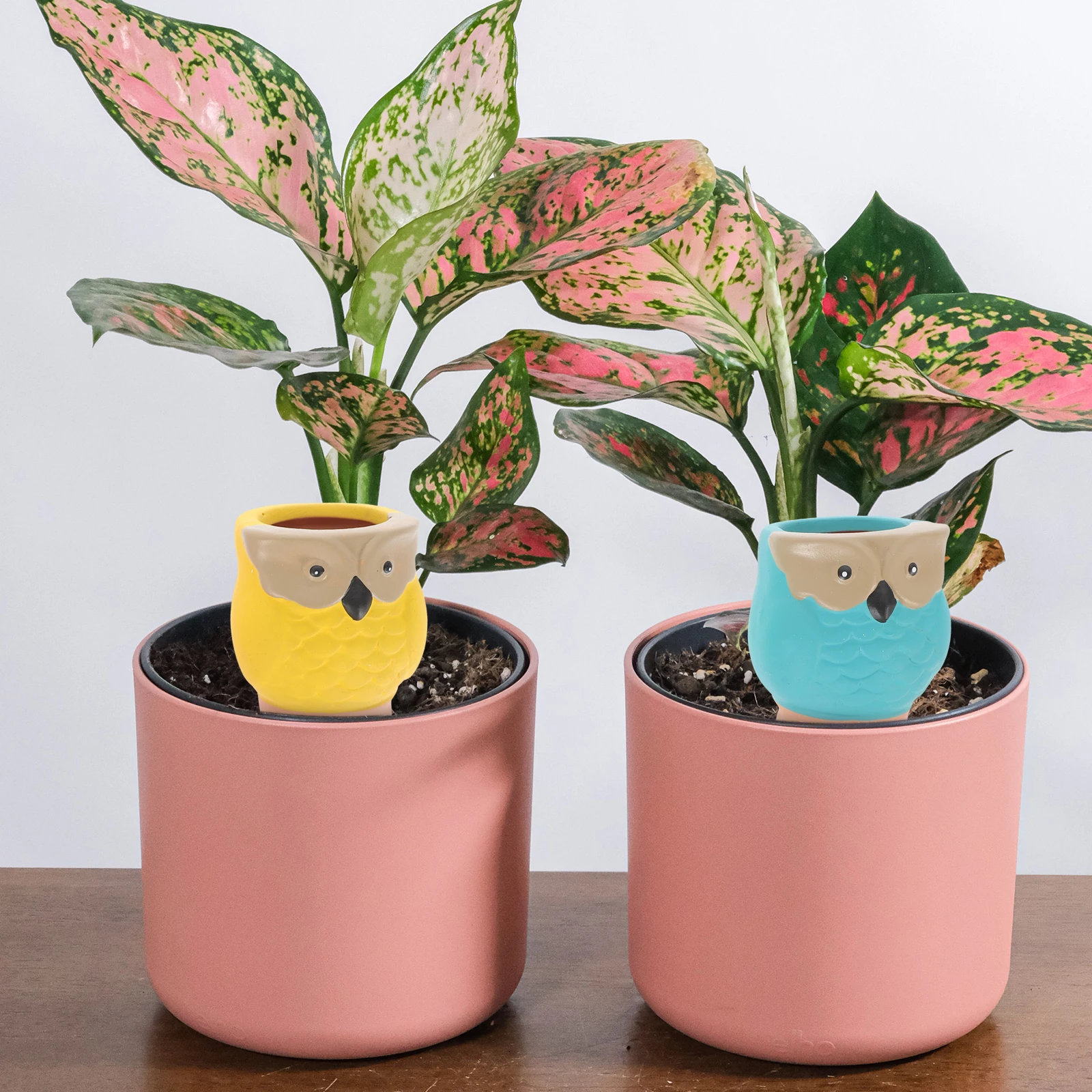 

4Pcs Plant Watering Stakes Automatic Self Watering Devices for Indoor Outdoor Potted Plants Garden Bonsai Care