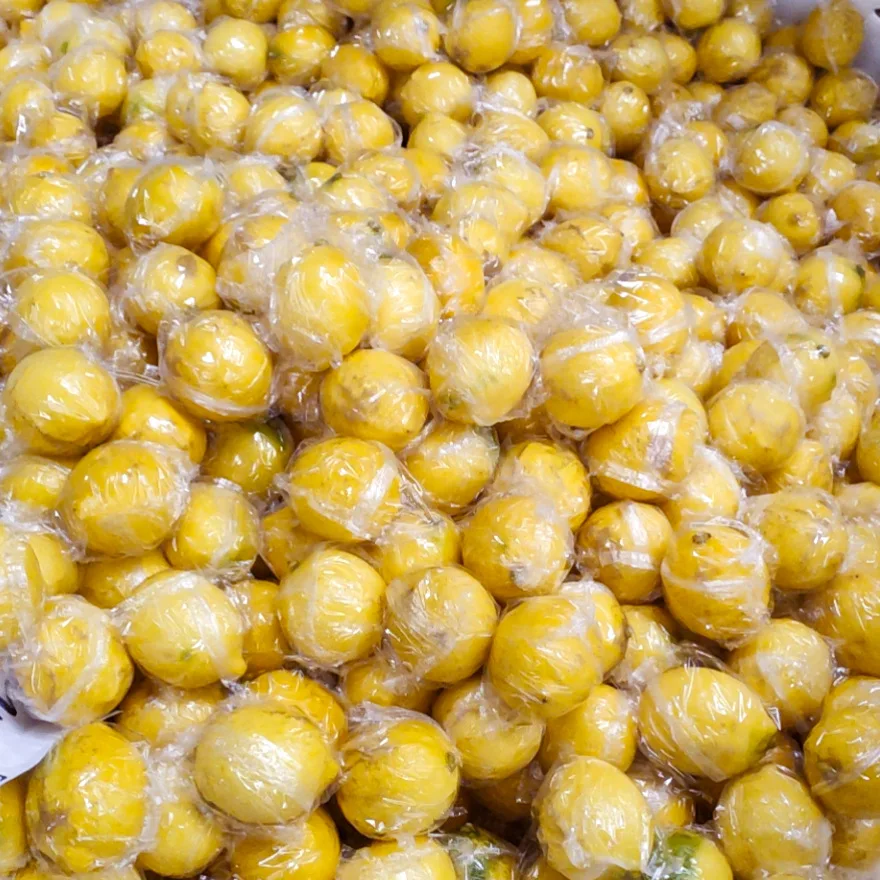 Industrial Citrus Fruit Packing Machine Fruit  Packing Machine Single Lemon Orange Wrap Packaging Machine