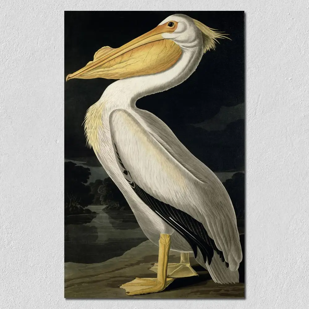 

birds Canvas Wall art American White pelicans John James Audubon painting hand-painted modern Animal artwork Office Home Decor