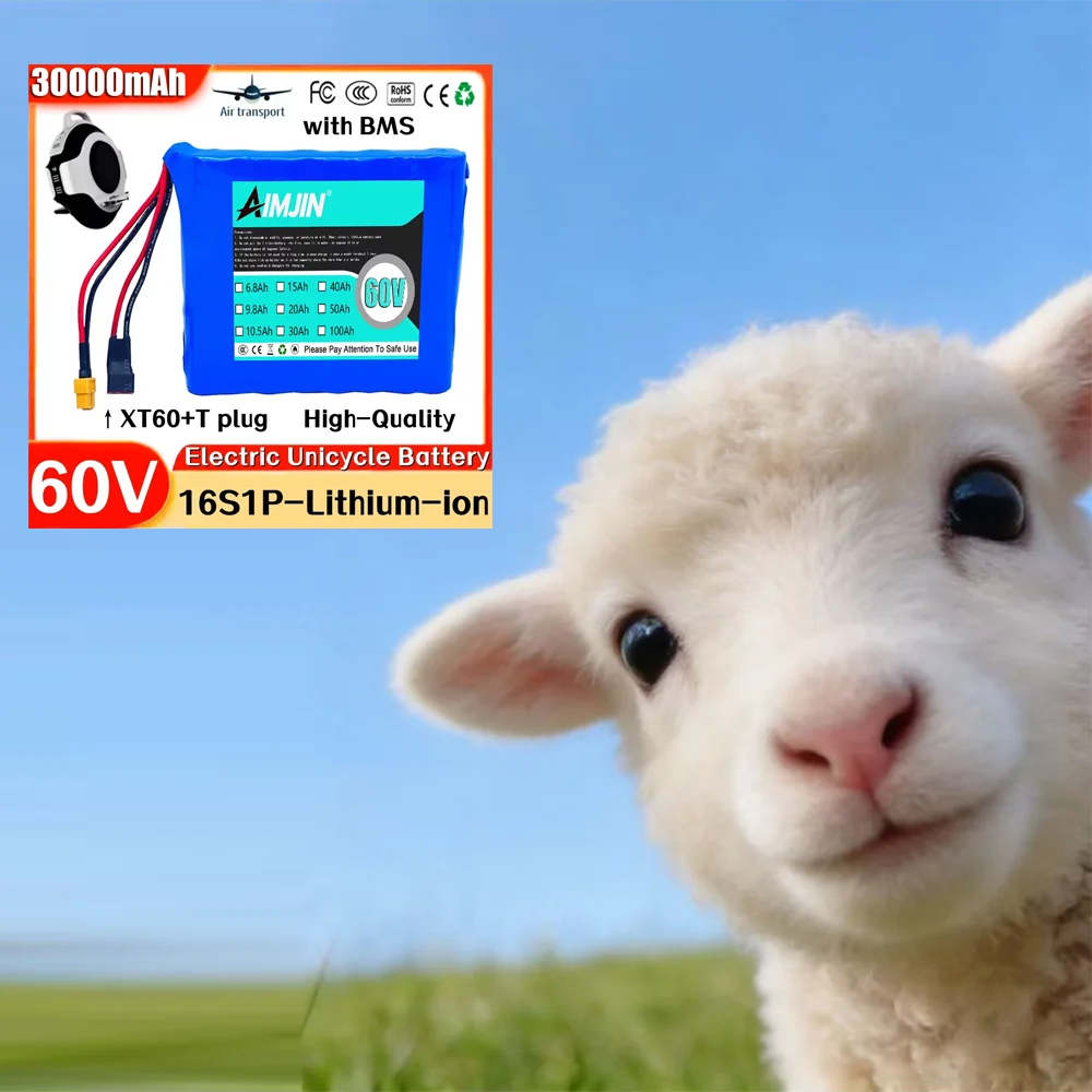 High Capacity Lithium 60V 30000mAh 30Ah Battery with Built-in BMS 16S1P for Outdoor Equipment
