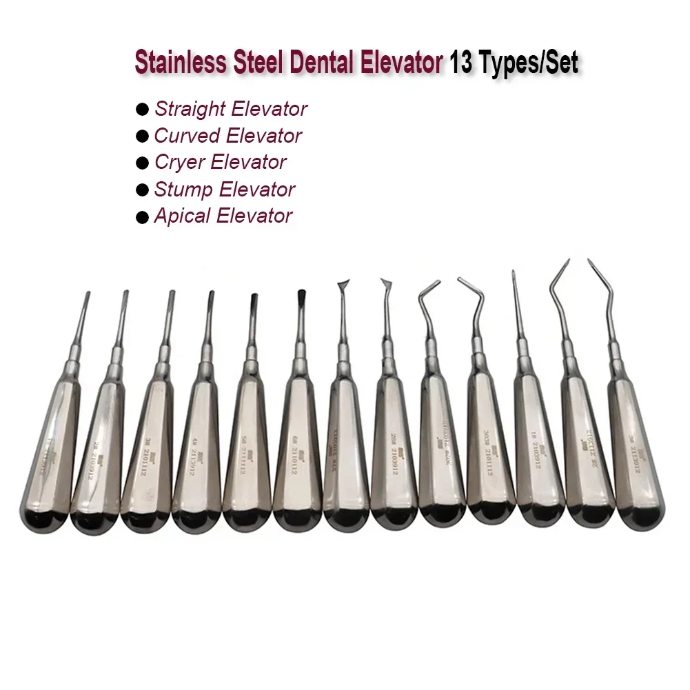 

Dental Elevator Kit Straight Curved Cryer Stump Apex Root Elevator Stainless Steel Dentist Clinic Tooth Extraction Surgical Tool