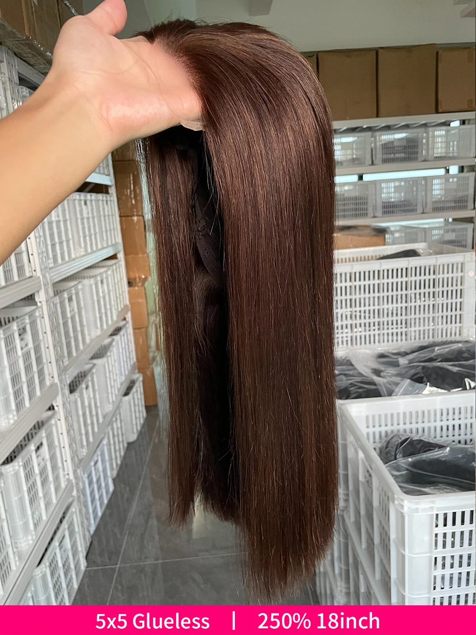 #2 Brown Chocolate Color 250 Density Lace Frontal Wig Human Hair Raw Vietnamese Double Drawn 13x4 Bob Lace Front Human Hair Wigs