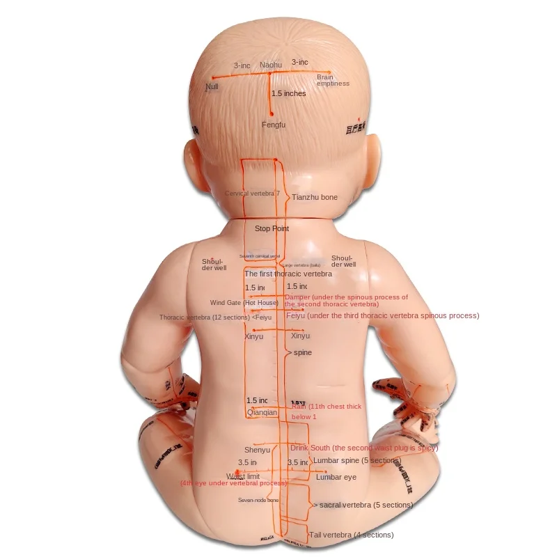 Children's Massage Teaching Book Model Children's Acupoint Meridian Map