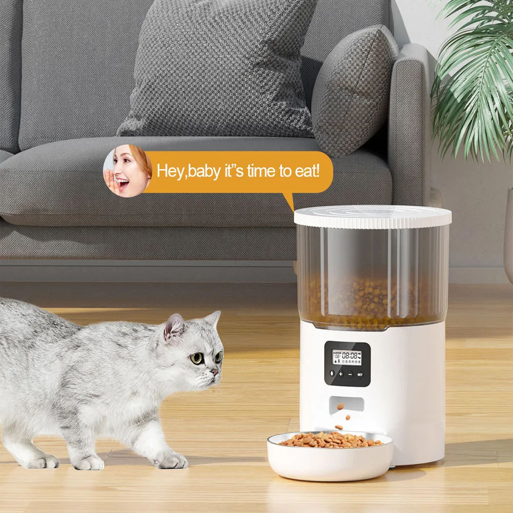 Alimentatore automatico intelligente per animali domestici con pulsante 4L con voce di temporizzazione della ciotola in acciaio inossidabile per