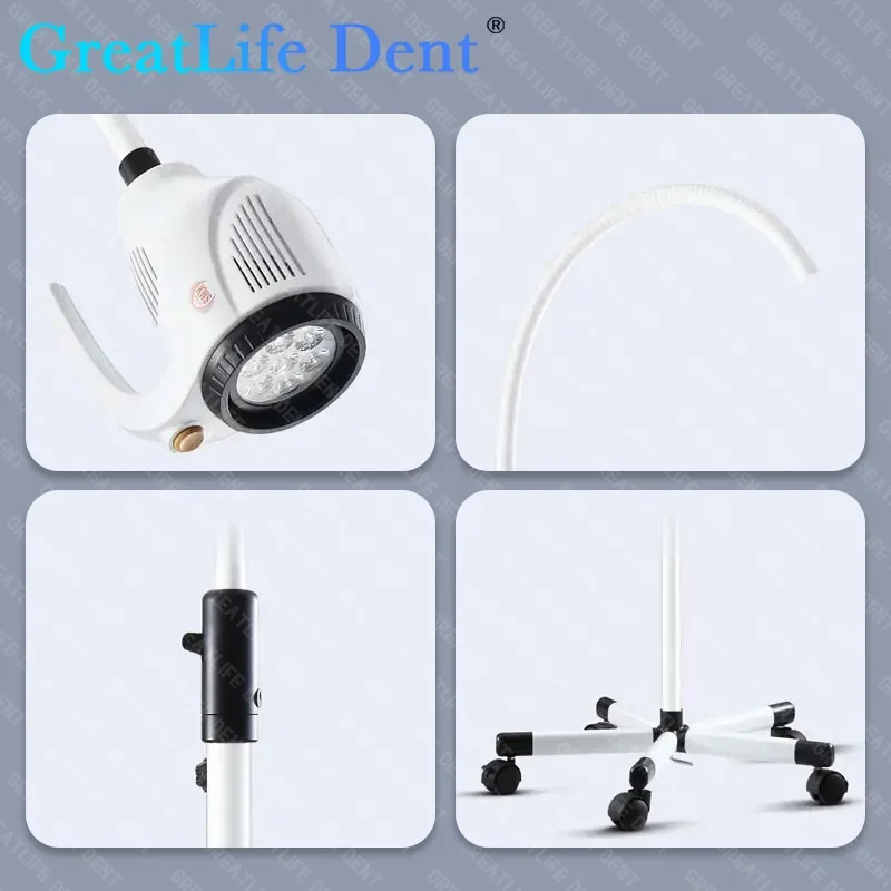 GreatLife Dent 21w 7 Leds 50000 Lifetime Cold Shadowless Operation Lamp Moveable Floor Stand Dental Veterinary Examination Light