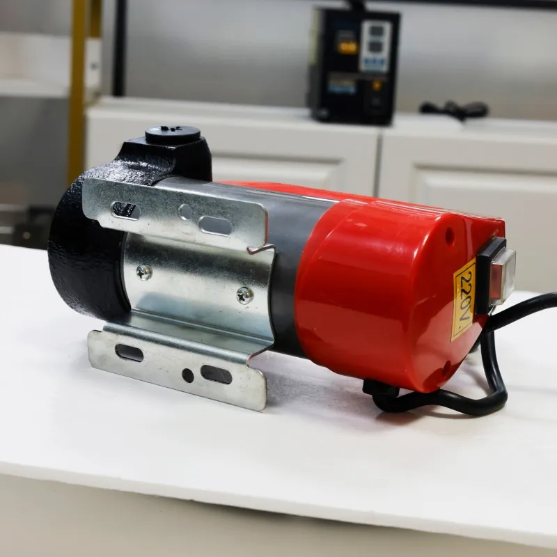 

Portable Fuel Transfer Pump 220V Electric Fuel Transfer Pump Diesel Pump